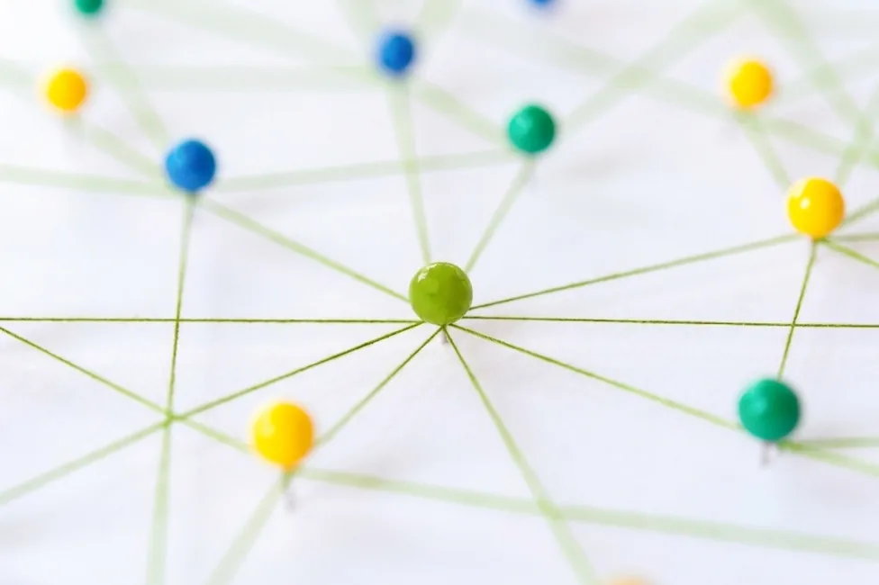 Build your domain authority